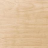 Light Wood