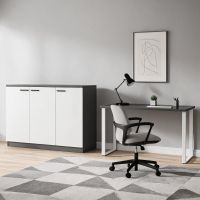 White with Iron Gray