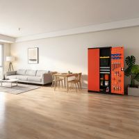 Black & Orange