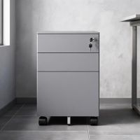 Silver Gray