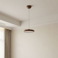 Single Dome Pendant
